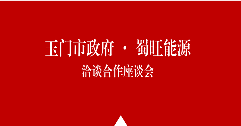 玉门市委组织部一行到151amjs澳金沙门能源考察调研.png